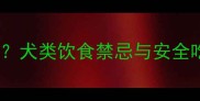 哈士奇能吃清水煮猪肉吗犬类饮食禁忌与安全吃法附健康喂养指南
