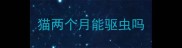 猫两个月能驱虫吗