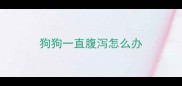 狗狗一直腹泻怎么办