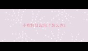 小狗打针起包了怎么办