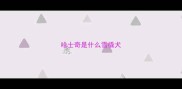 哈士奇是什么雪橇犬