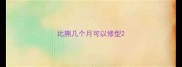 比熊几个月可以修型