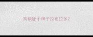 狗粮哪个牌子拉布拉多