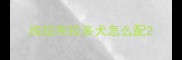 纯拉布拉多犬怎么配