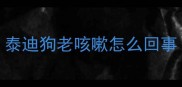 泰迪狗老咳嗽怎么回事