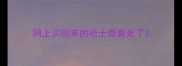 网上买回来的哈士奇臭死了