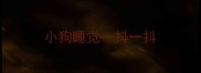 小狗睡觉一抖一抖