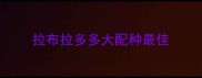 拉布拉多多大配种最佳