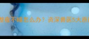 两个月的幼猫整夜不睡怎么办资深兽医5大原因及应对措施