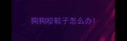 狗狗咬鞋子怎么办