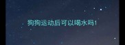 狗狗运动后可以喝水吗