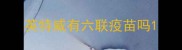 英特威有六联疫苗吗