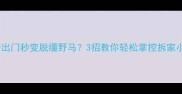 哈士奇出门秒变脱缰野马3招教你轻松掌控拆家小恶魔