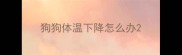 狗狗体温下降怎么办