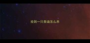 捡到一只泰迪怎么养