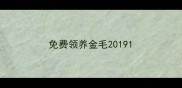 免费领养金毛2019