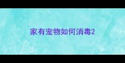 家有宠物如何消毒