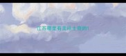 江苏哪里有卖哈士奇的