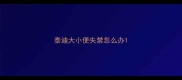 泰迪大小便失禁怎么办