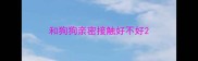 和狗狗亲密接触好不好
