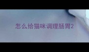 怎么给猫咪调理肠胃