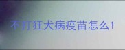 不打狂犬病疫苗怎么