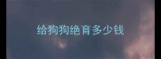 给狗狗绝育多少钱