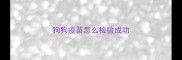 狗狗疫苗怎么检验成功