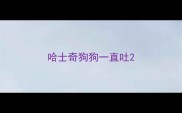 哈士奇狗狗一直吐