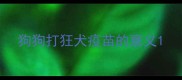 狗狗打狂犬疫苗的意义