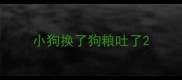 小狗换了狗粮吐了