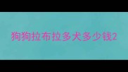 狗狗拉布拉多犬多少钱