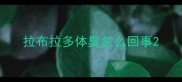 拉布拉多体臭怎么回事