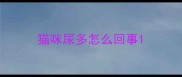 猫咪尿多怎么回事