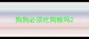 狗狗必须吃狗粮吗