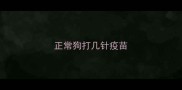 正常狗打几针疫苗