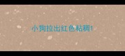 小狗拉出红色粘稠