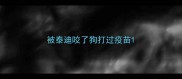 被泰迪咬了狗打过疫苗