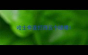 哈士奇连打四五个喷嚏