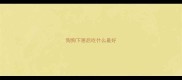 狗狗下崽后吃什么最好