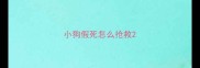 小狗假死怎么抢救