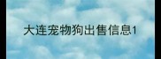 大连宠物狗出售信息