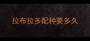拉布拉多配种要多久