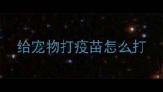 给宠物打疫苗怎么打