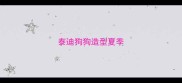 泰迪狗狗造型夏季