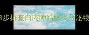 猫咪眼白突然发白3步排查白内障结膜炎分泌物新手必看急救指南