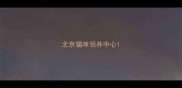 北京猫咪领养中心