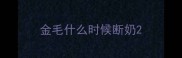 金毛什么时候断奶