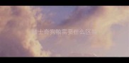 哈士奇狗粮需要什么区别