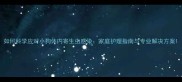 如何科学应对小狗体内寄生虫感染家庭护理指南与专业解决方案